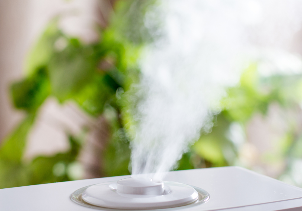 humidificador-higrometro-precios-online humidificador-higrometro-precios-online