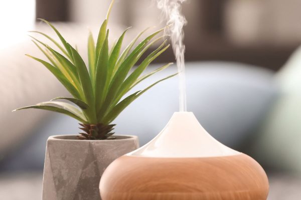 tipos-humidificadores-online-precios